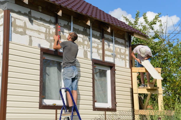 Best Residential Vinyl Siding Installation  in Buchanan, MI